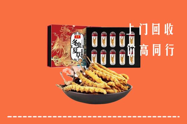金华市磐安回收虫草